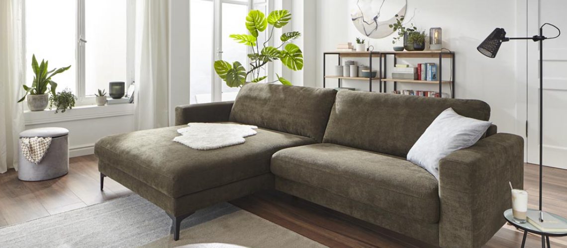 Polster Global Oviedo Regain